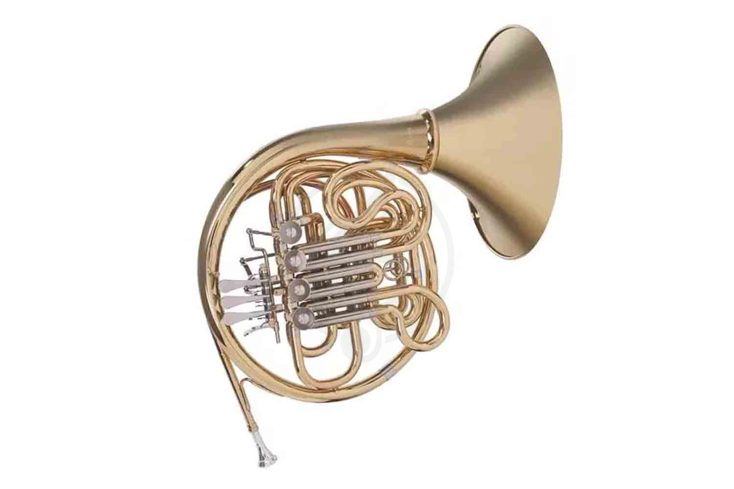 Валторна VIVOTON Standart Bb/F - Валторна,  Standart Bb/F в магазине DominantaMusic - фото 1