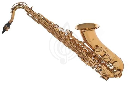 VIVOTON Student - Саксофон тенор - фото 1 Саксофон тенор VIVOTON Student - Саксофон тенор, Student в магазине DominantaMusic - фото 1