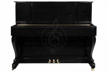 Акустическое пианино Vivoton V123B - Пианино акустическое, черное, Vivoton V123B в магазине DominantaMusic - фото 2