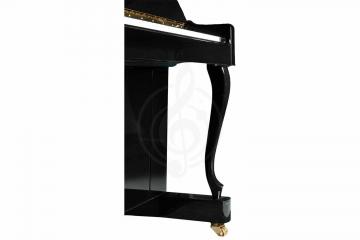 Акустическое пианино Vivoton V123B - Пианино акустическое, черное, Vivoton V123B в магазине DominantaMusic - фото 5