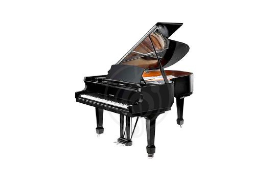 Изображение W. Hoffmann Professional P 162 BLP - Рояль акустический, цвет черный, полированный