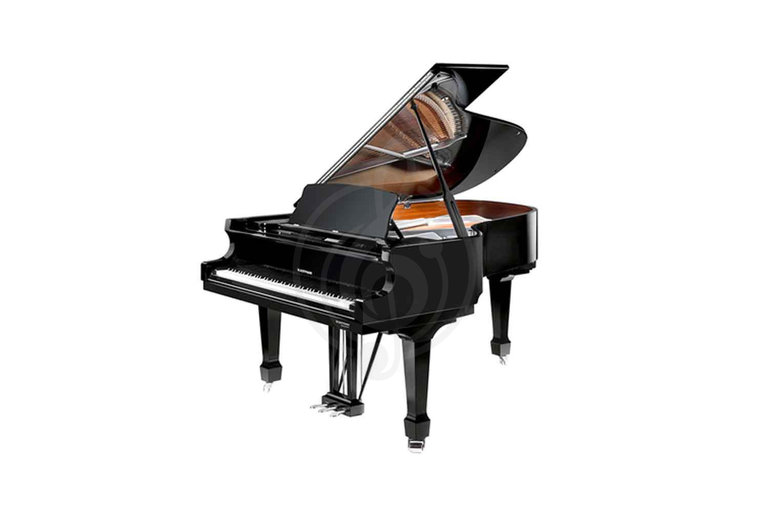 Акустический рояль W. Hoffmann Professional P 188 BLP - Рояль акустический, цвет черный, полированный, W. Hoffmann P 188 BLP в магазине DominantaMusic - фото 1