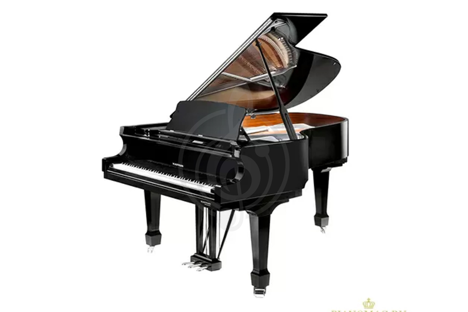 Акустический рояль Акустические рояли W. Hoffmann W. Hoffmann Professional P 188 - Рояль, цвет черный, полированный P 188 BLP - фото 1