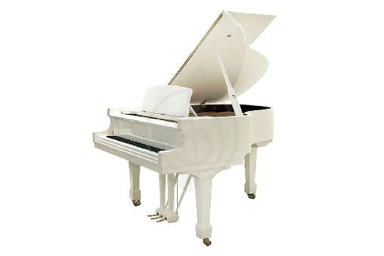 Акустический рояль W. Hoffmann Tradition T 161 WHP - Рояль акустический белый, полированный, W. Hoffmann T 161 WHP в магазине DominantaMusic - фото 1