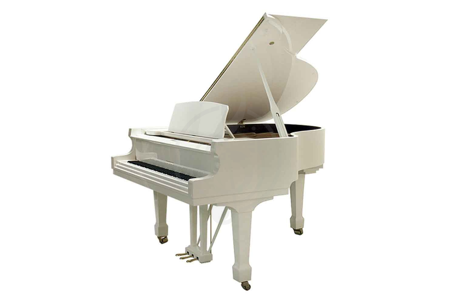 Акустический рояль W. Hoffmann Tradition T 177 WHP - Рояль акустический, цвет белый, полированный, W. Hoffmann T 177 WHP в магазине DominantaMusic - фото 1