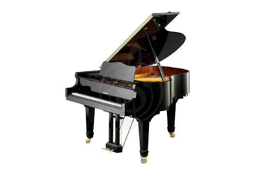 Акустический рояль W. Hoffmann Vision V 158 BLP - Рояль акустический черный, полированный, W. Hoffmann V 158 BLP в магазине DominantaMusic - фото 1