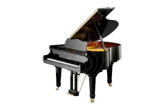 Акустический рояль W. Hoffmann Vision V 175 BLP - Рояль акустический черный, полированный, W. Hoffmann V 175 BLP в магазине DominantaMusic - фото 1
