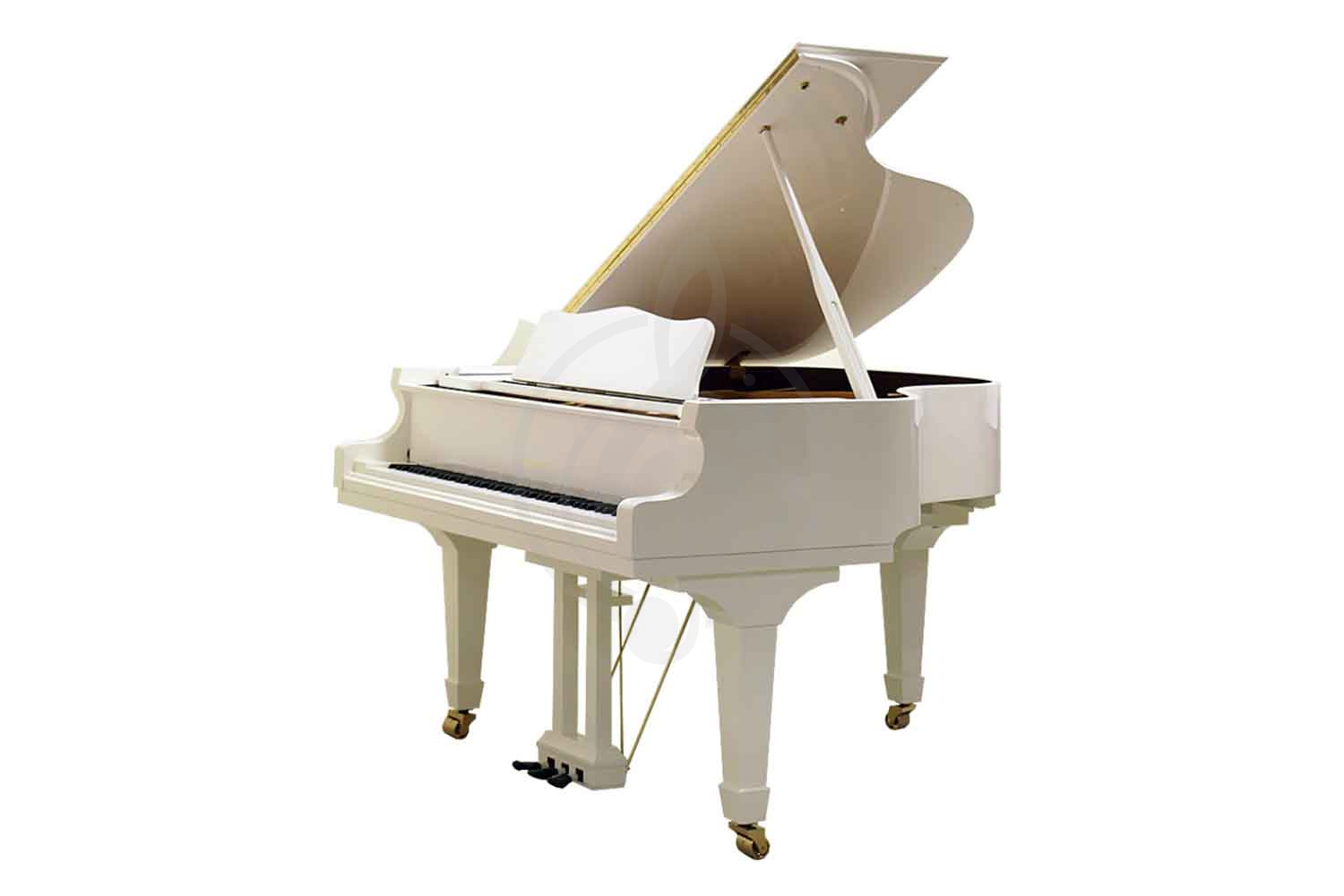 Акустический рояль W. Hoffmann Vision V 175 WHP - Рояль акустический, цвет белый, полированный, W. Hoffmann V 175 WHP в магазине DominantaMusic - фото 1