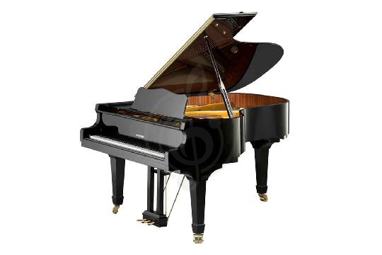 Акустический рояль W. Hoffmann Vision V 183 BLP - Рояль акустичексий черный, полированный, W. Hoffmann V 183 BLP в магазине DominantaMusic - фото 1