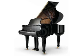 Изображение Weber Professional Grand W157 - Рояль