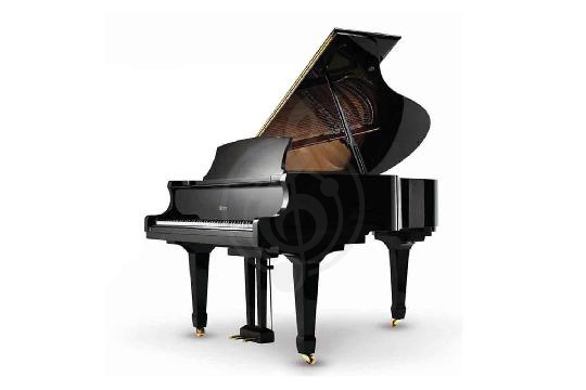 Изображение Weber Professional Grand W185 BP - Акустический рояль