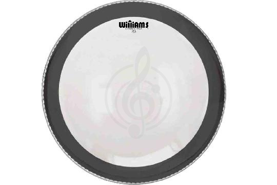 Изображение Пластик для барабана Williams W1SC-7MIL-06 Clear Silent Circle Series