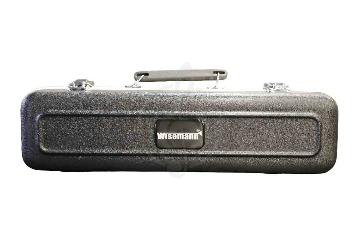 Чехол для флейты Wisemann ABS Flute Case WABSFC-1 - Кейс для флейты, Wisemann ABS Flute Case WABSFC-1 в магазине DominantaMusic - фото 1