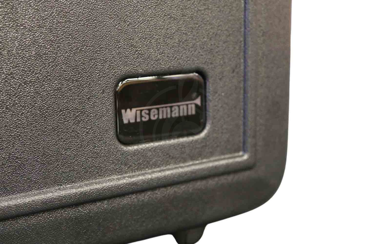 Wisemann ABS Trumpet Case WABSTRUMC-1 - Кейс-кофр для трубы - фото 3 Чехол для трубы Wisemann ABS Trumpet Case WABSTRUMC-1 - Кейс-кофр для трубы, Wisemann WABSTRUMC-1 в магазине DominantaMusic - фото 3