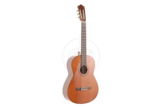 Классическая гитара 4/4 YAMAHA C40 - Классическая гитара,  C40 в магазине DominantaMusic - фото 6
