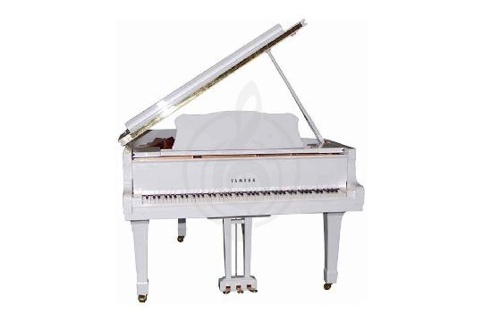Изображение Акустический рояль Yamaha C5 PWH//X.LZ.WITH BENCH