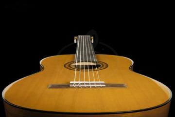 Классическая гитара 4/4 Классические гитары 4/4 Yamaha YAMAHA C70 - Классическая гитара C70 - фото 3