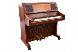 Изображение Акустическое пианино  Yamaha CEL-56P//F.442HZ