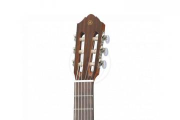 Классическая гитара 4/4 Классические гитары 4/4 Yamaha YAMAHA CG142C - классическая гитара CG142C - фото 2