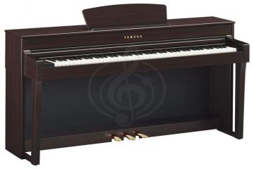 Цифровое пианино Цифровые пианино Yamaha YAMAHA CLP-635R - Цифровое пианино  CLP-635R - фото 2