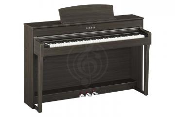 Цифровое пианино Цифровые пианино Yamaha YAMAHA CLP-645DW - Цифровое пианино CLP-645DW //E - фото 2