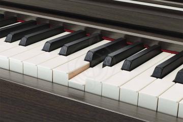 Цифровое пианино Цифровые пианино Yamaha YAMAHA CLP-645DW - Цифровое пианино CLP-645DW //E - фото 4