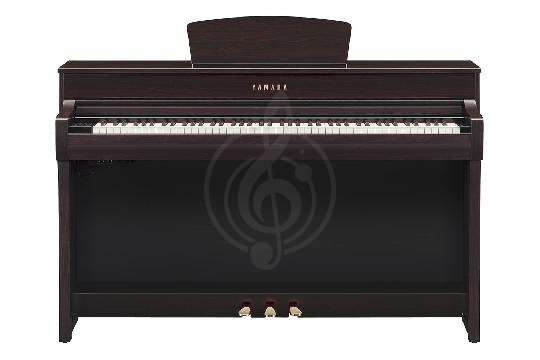 Изображение Цифровое пианино  Yamaha CLP-735 R