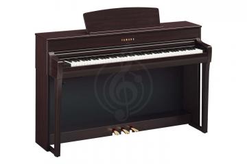 Цифровое пианино Цифровые пианино Yamaha Yamaha CLP-745R - Цифровое пианино CLP-745R //E - фото 2