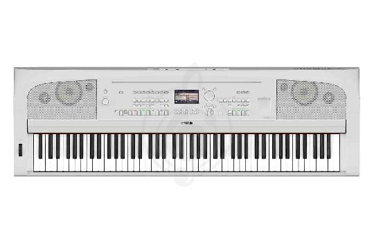 Изображение DGX-670WH