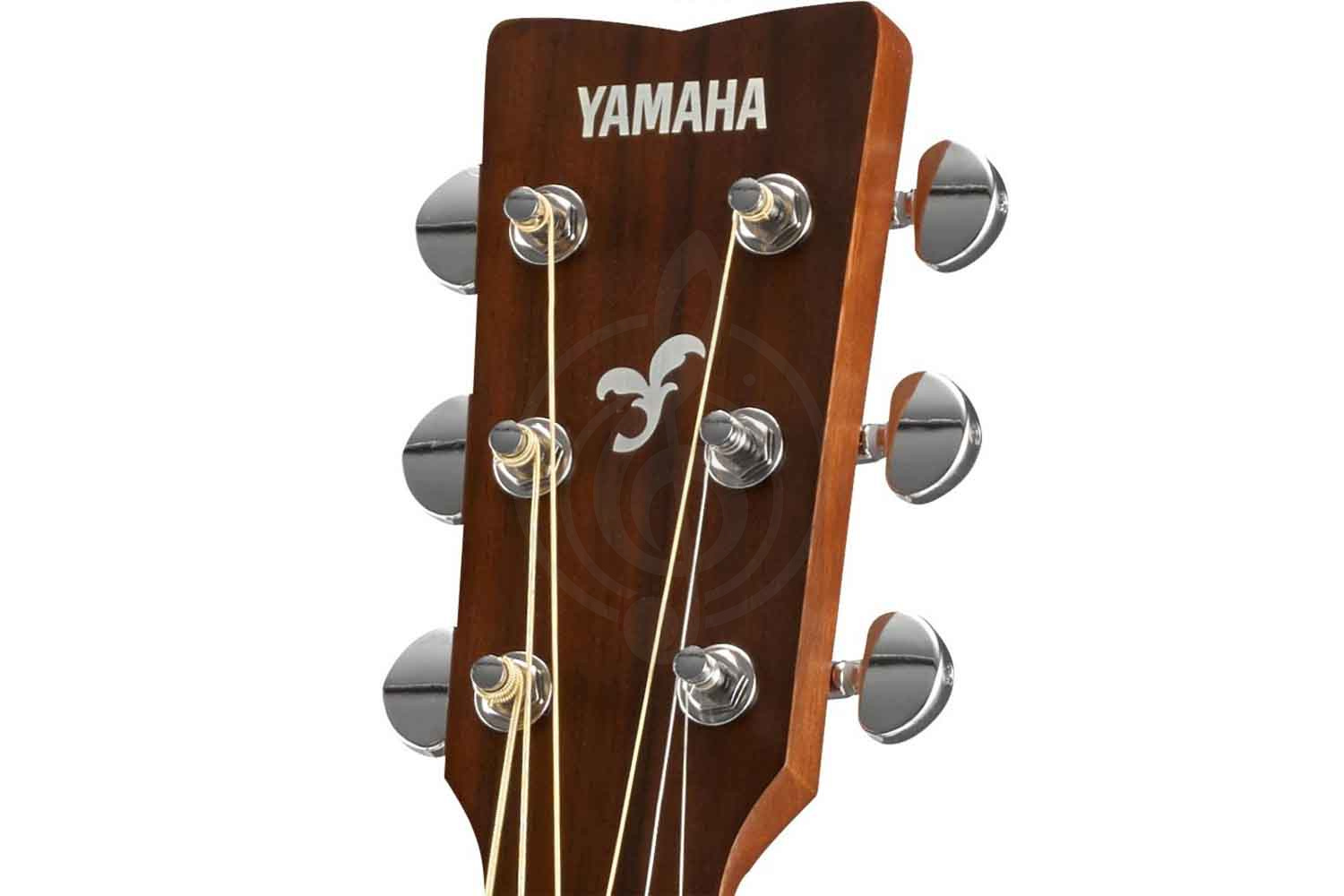 Акустическая гитара Акустические гитары Yamaha Yamaha FG800 - акустическая гитара дредноут, цвет натурал FG800 NATURAL//02 - фото 4