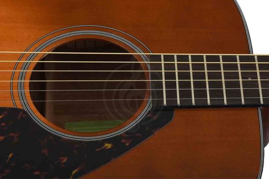 Акустическая гитара YAMAHA FG800SDB - Гитара акустическая, YAMAHA FG800SDB в магазине DominantaMusic - фото 4