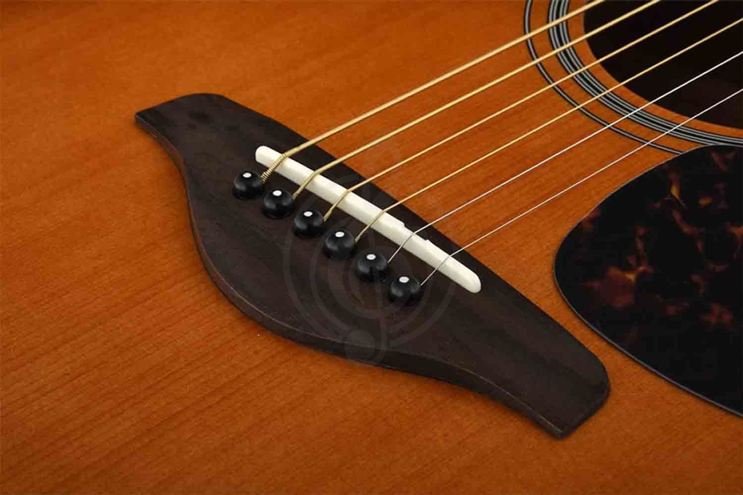 Акустическая гитара YAMAHA FG800SDB - Гитара акустическая, YAMAHA FG800SDB в магазине DominantaMusic - фото 2