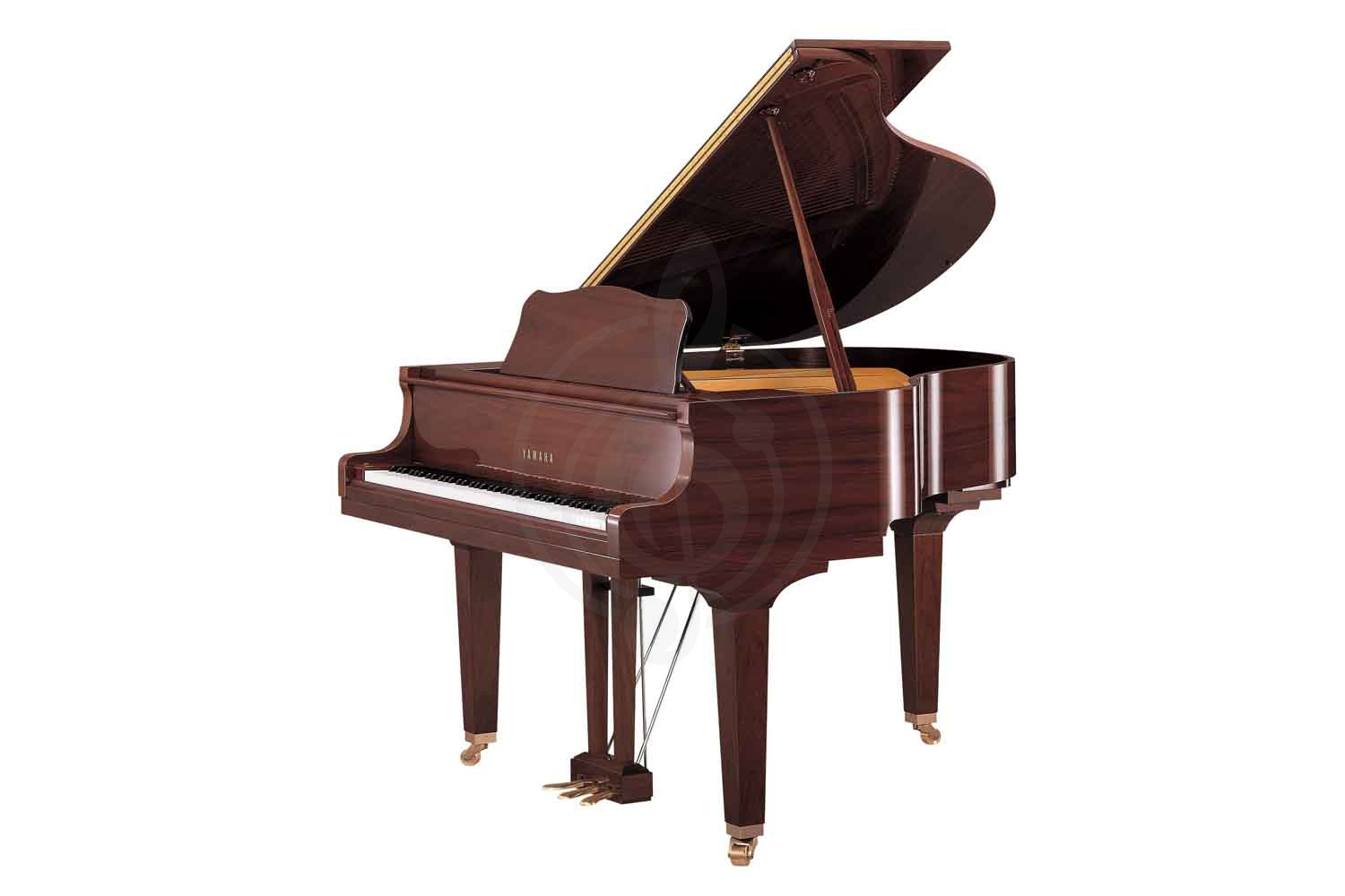 Акустический рояль Yamaha GB1K G - Рояль акустический, цвет коричневое красное дерево, Yamaha GB1KG//LZ.WITHBENCH в магазине DominantaMusic - фото 2