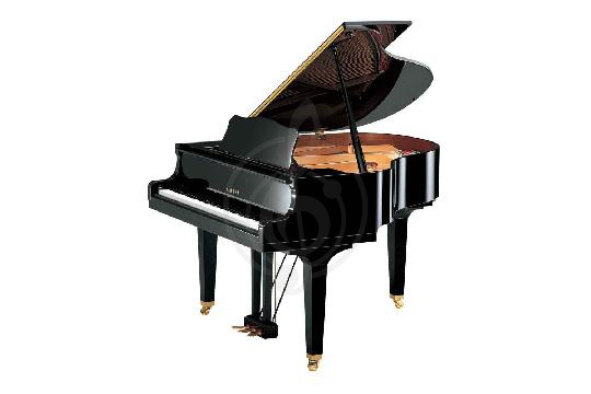 Изображение Yamaha GB1K PE - Рояль акустический, цвет черный