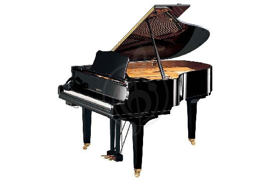 Акустический рояль Yamaha GC2 PE - Рояль акустический, цвет черный, Yamaha GC2PE//LZ.WITHBENCH в магазине DominantaMusic - фото 1