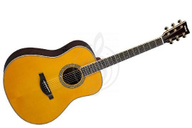 Изображение Yamaha LL-TA VINTAGE TINT - Электроакустическая гитара