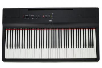 Цифровое пианино Цифровые пианино Yamaha Yamaha P-125B - Цифровое пианино  P-125B //E - фото 10