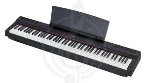 Изображение Yamaha P-125 B