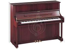 Изображение Yamaha U1PM//Q.LZ.WITHBENCH