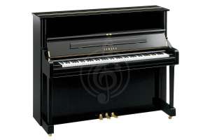 Изображение Yamaha U1JPE//LZWITHBENCH