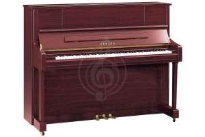 Изображение Yamaha U1JPM//LZWITHBENCH