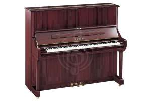 Изображение Yamaha U3PM//Q.LZ.WITHBENCH