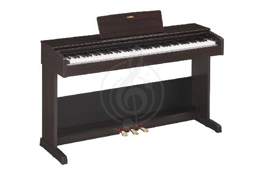 Изображение Yamaha YDP-103R Arius - Цифровое пианино со стойкой и педалью