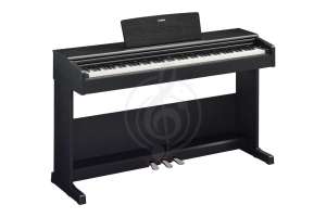 Изображение Yamaha YDP-105B