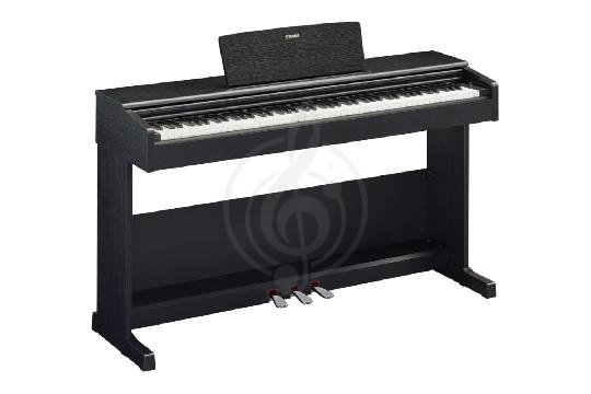 Изображение Yamaha YDP-105B Arius - Цифровое пианино, со стойкой и педалью, черное