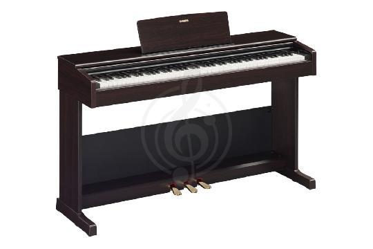 Изображение Yamaha YDP-105R Arius - Цифровое пианино