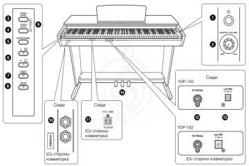 Цифровое пианино Цифровые пианино Yamaha Yamaha YDP-142C Цифровое пианино (цвет Светлая Вишня) YDP-142C - фото 4