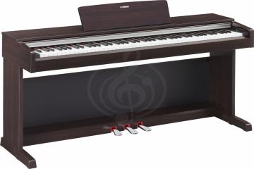 Цифровое пианино Цифровые пианино Yamaha Yamaha YDP-142R Цифровое пианино (цвет Темный палисандр) YDP-142R - фото 3