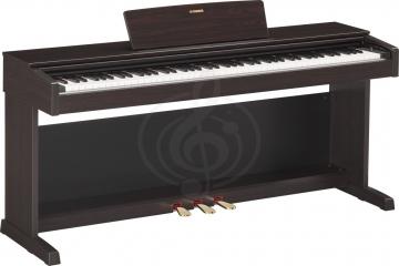 Цифровое пианино Цифровые пианино Yamaha Yamaha YDP-143R - цифровое пианино. Цвет - коричневый YDP-143R - фото 2
