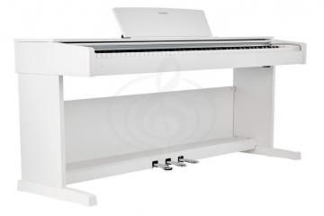 Цифровое пианино Цифровые пианино Yamaha Yamaha YDP-143WH - Цифровое пианино, цвет белый YDP-143WH - фото 7